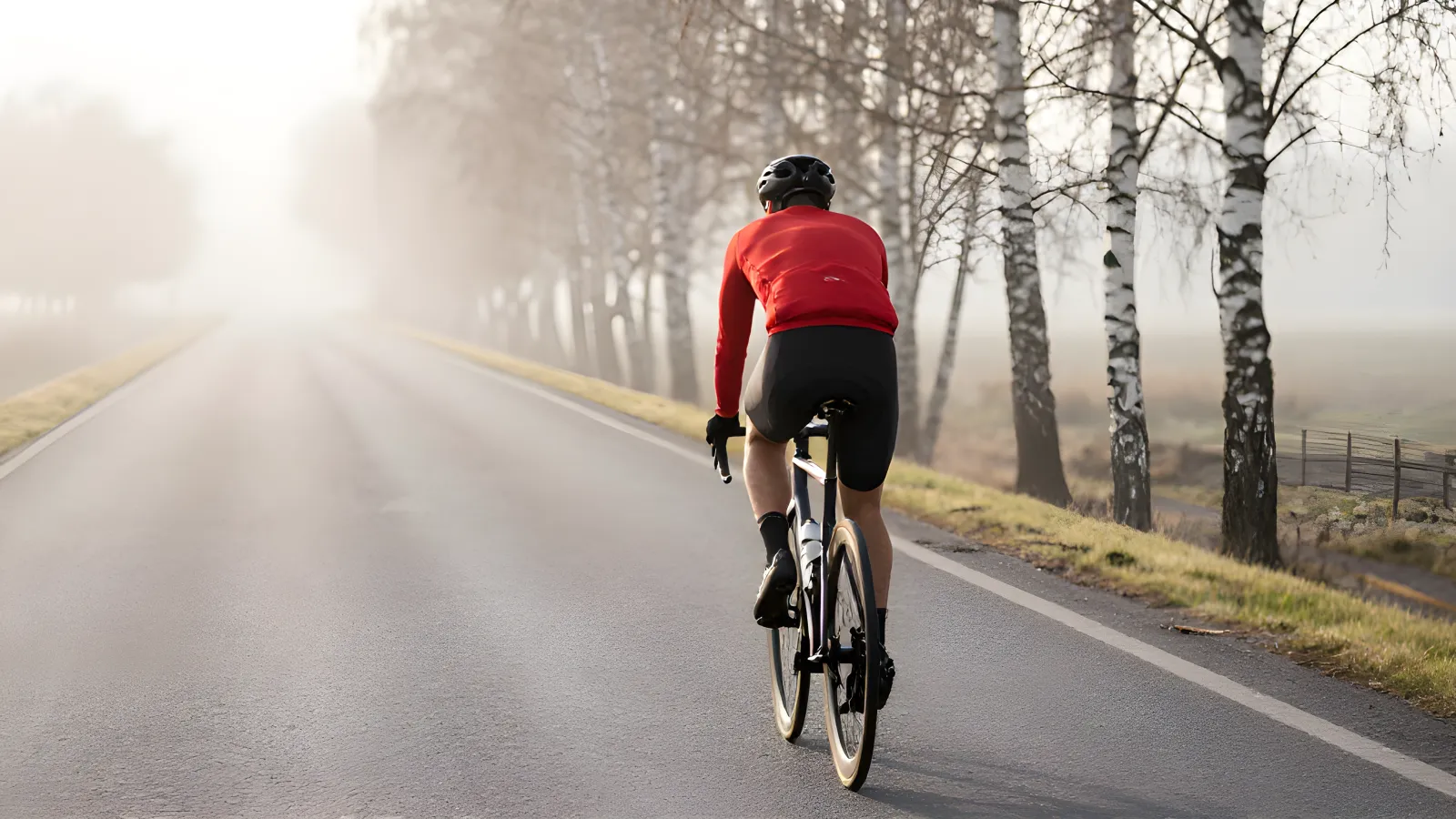 Cyklist i röd tröja sedd bakifrån på en dimmig svensk landsväg tidig morgon, kantad av björkar.
